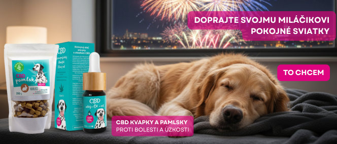 Newsletter - Banners --2